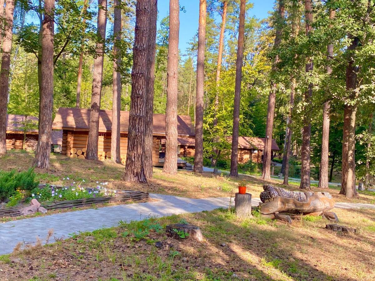 Resort Stariy Prud Pylypovychi ภายนอก รูปภาพ