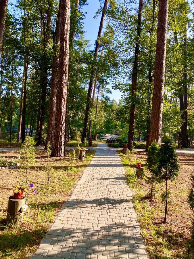 Resort Stariy Prud Pylypovychi ภายนอก รูปภาพ